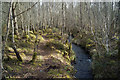 An Garbh-allt in Culbokie Wood in Culbokie