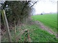 Footpath adjacent to hedge in RH20 1DE