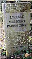 Old Other Stone by Tewkesbury Way, Lydiard Millicent in SN5 5PP