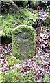 Old Bridge Marker near Ward Bridge, Sampford Spiney in PL20 6LF