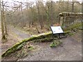 Stoney Road Bridge and the Chopwell and Garesfield Railway in Chopwell and Rowlands Gill Ward