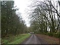 Looking to the road from a track on Newcombe Common in EX15 2HE