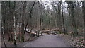 Wooden bridge in Alice Holt Forest in GU10 4EP
