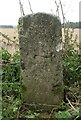Old Milestone by bridleway North of Bulford Camp in SP4 9BB