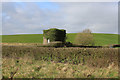 Ivy Clad Structure below Embankment of Alston Reservoir No. 2 in PR3 3SL