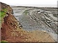Wave-cut rock platform, near Kilve in TA5 1EG