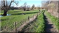 Path beside Fish Lake in SO51 0HP