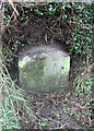 Old Milestone by the A386, Middle Gribble, Little Torrington in EX38 8PY