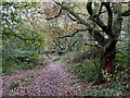 Footpath to Penn Common, Colton Hills, Wolverhampton in WV4 5QW