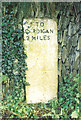 Old Milestone by the A487, below Banc-y-Warren, Cardigan parish in SA43 1SF