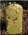 Old Milestone on the A571 near the drive to Hadspen House in BA9 8DL