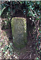 Old Milestone east of Greystone Bridge, Bradstone parish in PL19 0QR
