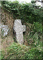Old Wayside Cross near Headlands Farm, Peter Tavy parish in PL19 9LY