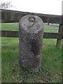 Old Milestone by the A90, Crimond in AB43 8QT