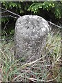 Old Milestone by the B9022, The Bin Forest, Huntly parish in AB54 4SJ