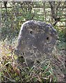 Old Milestone by the A363, Bath Road, north of Winsley in BA15 2PQ