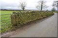 Dry stone wall beside minor road south of Dufton in CA16 6NG