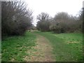 Great Clacton: Picker's Ditch Meadow Local Nature Reserve in CO15 4UH