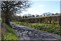 Tree shadows in lane near Brokenway Copse in SN8 3FL
