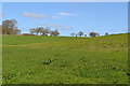 View up field north of Brokenway Copse in SN8 3FL
