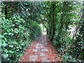 Footpath to Ifield Road (1) in RH6 0BY
