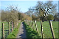 Path between fields at Burbage in SN8 3AJ