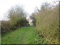 Rudding Lane (track) toward Saltmarshe Grange in DN14 7XF