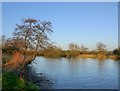The Thames at Cholsey Marsh in OX10 6BU