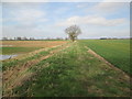 Field  edge  and  drain  toward  Johnson's  Farm in Spaldington