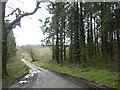 Footpath into Buckland Wood in EX21 5PQ
