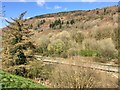 Railway line at Penrhiwceiber in CF45 4ER
