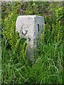 Old Milestone by the B7004, north of Whithorn in DG8 8AT