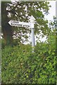 Direction Sign - Signpost south of Cucklington in BA9 9QY