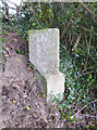 Old Guide Stone by the A390, Callington Road, Tavistock in PL19 8GA