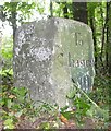 Old Milestone by the A30, Barford Heath in SP3 4BD