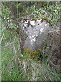 Old Milestone at Mid Strome in IV54 8YJ