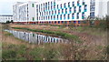 University of Essex student residences reflected in pond in CO4 3ZH