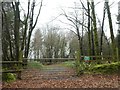 Entrance to West Lodge Plantation north of Buckland Filleigh in EX21 5RR