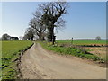Unnamed road north of Dilham church in NR28 9PL