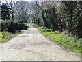 Road leading to Cangate House caravan site in NR12 8RP