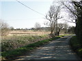 Scrub and marshland off Chapelfield Road in NR12 9EJ