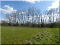 Land behind Dimmock Close in TN12 6LH