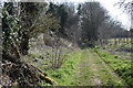 Bridleway out of Wicken Bonhunt in CB11 3UG