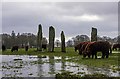 Ballymeanoch Standing Stones in PA31 8RG