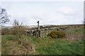 Footpath leading to Breck Edge in Chapel East Ward