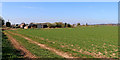 South Staffordshire farmland east of Pattingham in WV6 7BY