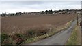 Ploughed field, Morton of Blebo in KY15 5UB