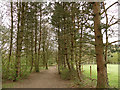 Golden Acre Park - arboretum (1) in LS16 9JN