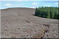 Path through the heather, Scawd Law in EH43 6AA