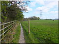 Path North of Wardley Grange in M27 9RP